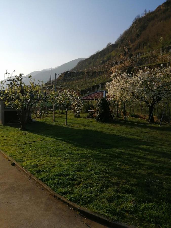 Casa Vacanze La Ca Del Cunfec 손드리오 외부 사진