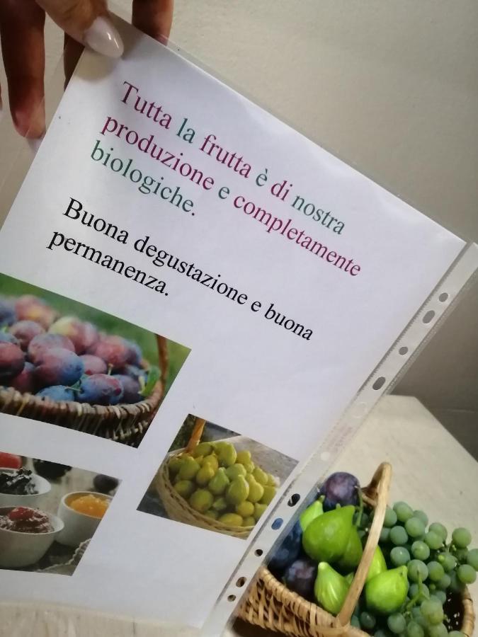 Casa Vacanze La Ca Del Cunfec 손드리오 외부 사진